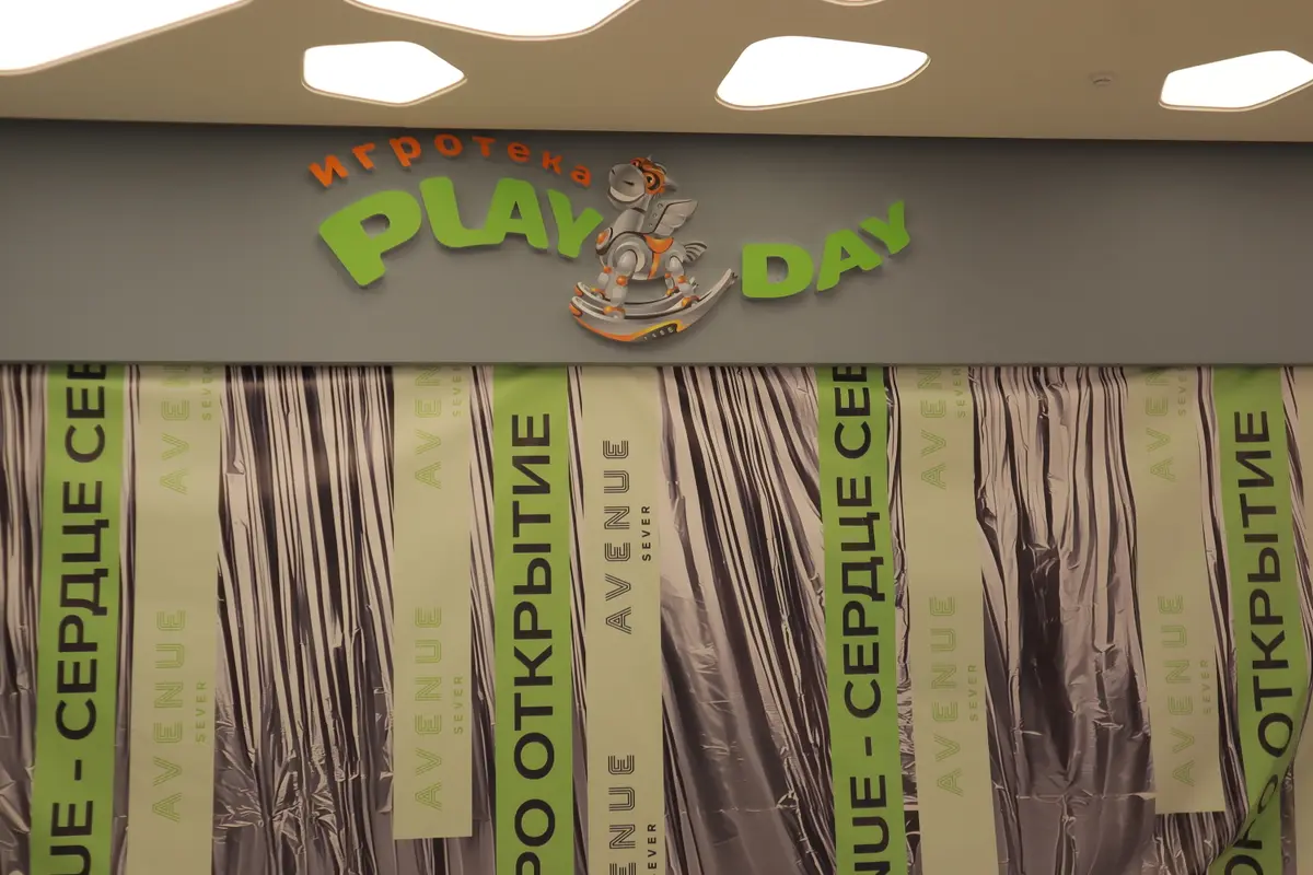 авеню селигерская игротека play day